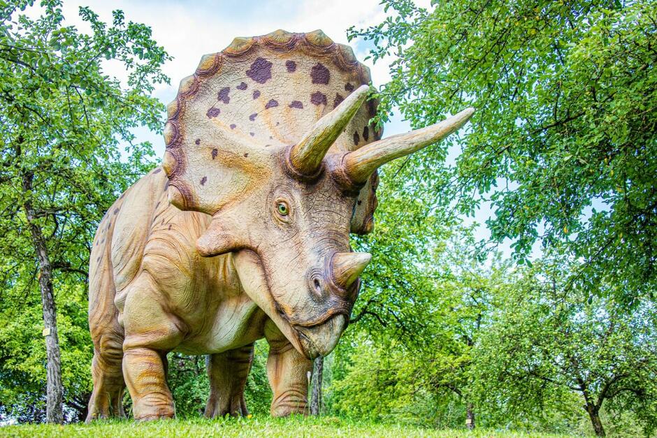 Unearth Fun with Dinosaurs! – Mountain Lake PBS