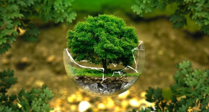 Caring for the environment, a shared responsibility | Institut de la Màcula