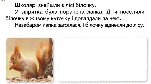 0300nnp4-9125-595x333.png