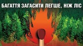 Основні правила пожежної безпеки під час відпочинку в лісі.