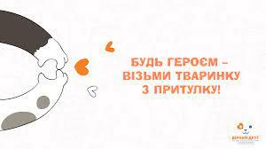 Мотивація для добра: у Компаніївській громаді триває онлайн-фестиваль  соціальної реклами | Громадський Простір