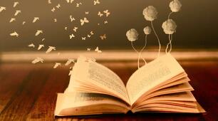 Книга Сили для занять з практичним психологом чи соціальним педагогом.
