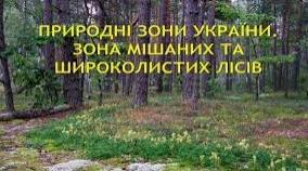 Зона мішаних  лісів