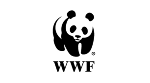 День народження Всесвітнього фонду дикої природи (WWF)