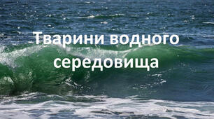 Тварини водного середовища