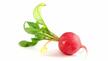 Ginseng and Radishes | Connected by Grace