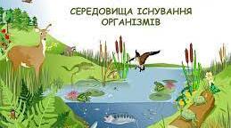 Середовища життя організмів