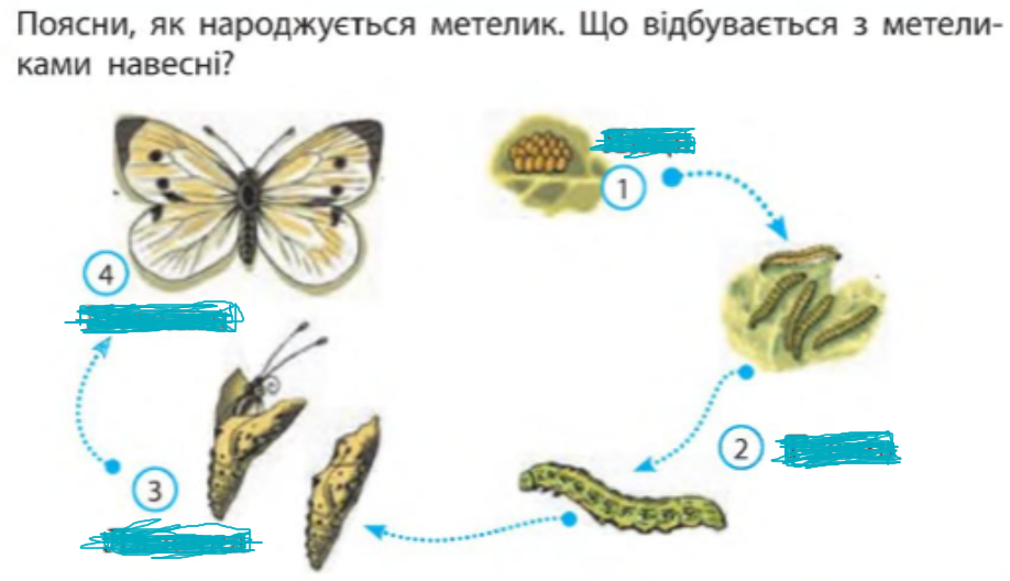 0300o3gd-da8d-918x528.png