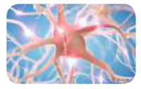 0300o456-fabe-200x127.png