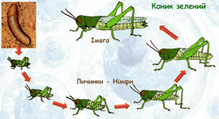 0300o4rk-2668-307x167.png