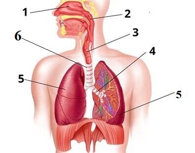 0300o4s6-d52a-396x310.jpg