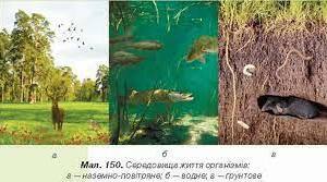 Наземно- повітряне та водне середовище.
