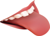 0300o5db-e486-172x125.png