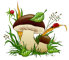 0300o5hb-0205-101x88.png