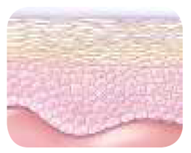 0300o5t9-143e-381x305.png