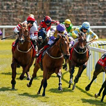 Talking Horses: Showalong can shine at York warm-up for Royal Ascot | Horse racing tips | The Guardian
