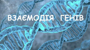 (Копія) Взаємодія генів