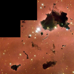 0300oaji-5652-238x240.png