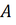 0300oblr-a95b-16x25.png