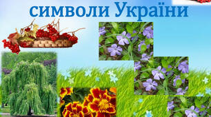 Заняття гуртка "Пізнай свій рідний край". Тема:  Рослинні і тваринні символи. Рослини - обереги. Символіка квітів.