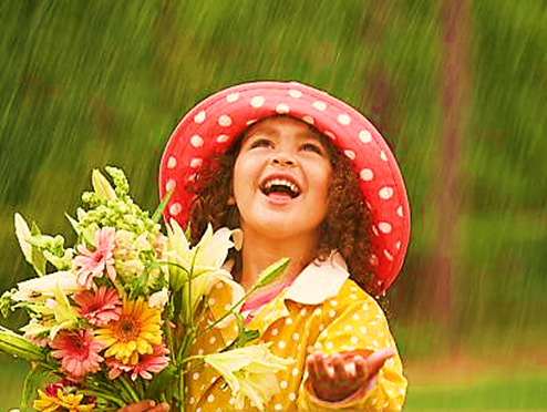 0300oca1-5018-494x372.png