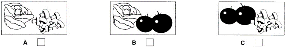 0300odb5-3cc3-940x158.png