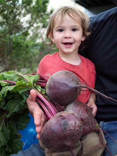 Summer Sowings: Continuous Harvests all Summer and into Fall | Southern Exposure Seed Exchange