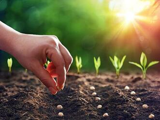 We Reap What We Sow | Renewal Christian Center