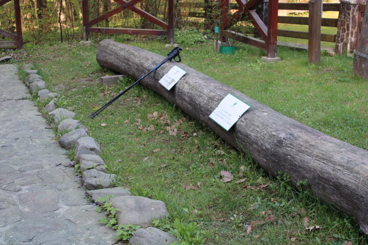 0300opb5-ec22-720x480.jpg