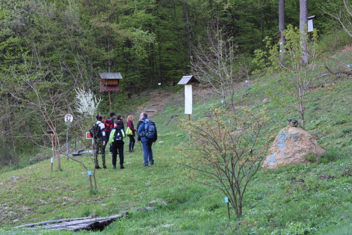 0300opb9-3227-720x480.jpg