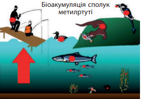0300ox45-351a-287x202.png