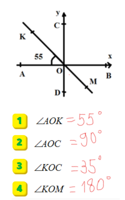 0300oyf5-4534-417x664.png