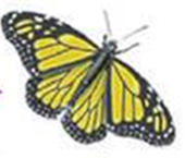 0300ozla-84fd-170x145.png
