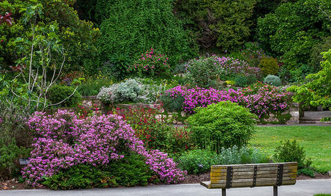 San Francisco Botanical Garden