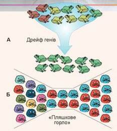 Еволюційні фактори - Біологія. 9 клас. Шаламов