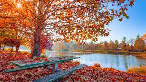 0300p9qa-2573-300x168.jpg