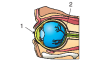 0300pe2g-ff89-216x154.png