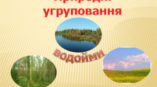 Діагностувальна робота. Природні угруповання.