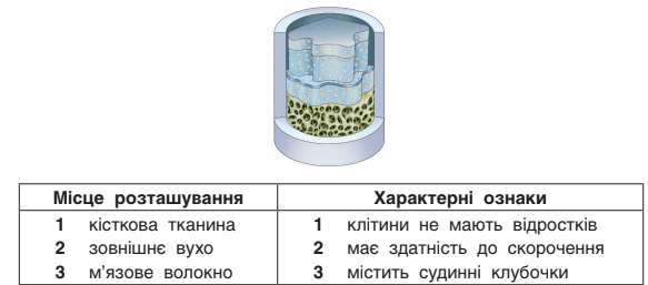 0300pe6j-51d5-583x257.png