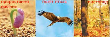 ЯВИЩА ПРИРОДИ » Допомога учням