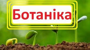 "Узагальнення. Будова та життєдіяльність організмів" Тест 6 клас"