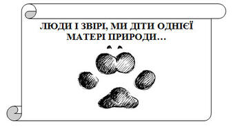 0300psqy-59d0-338x188.jpg