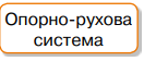 0300pwid-74db-132x56.png