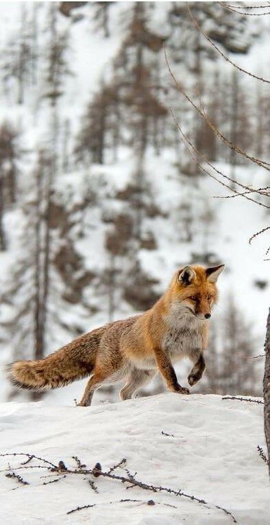0300pwmp-e0a1-394x766.jpg