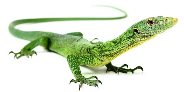0300pwuo-34d7-700x350.png