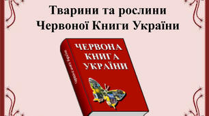 Заняття гуртка "Пізнай свій рідний край". Тема: Червона книга України.