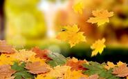 0300q2l2-b6bb-185x115.jpg