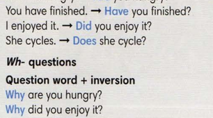 Word order in questions 2