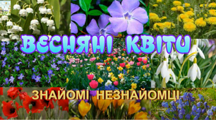 Весняні квіти "ЗНАЙОМІ НЕЗНАЙОМЦІ"