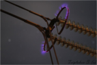 0300q8a4-05f7-142x95.png